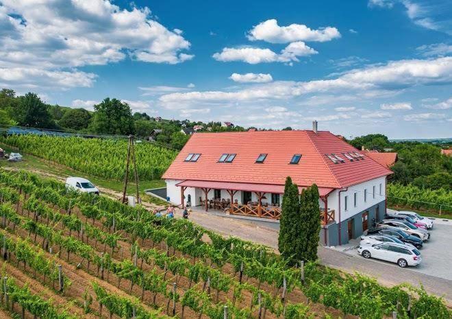Hotel Somló Kolonics Kúria Somlovasarhely Exterior foto